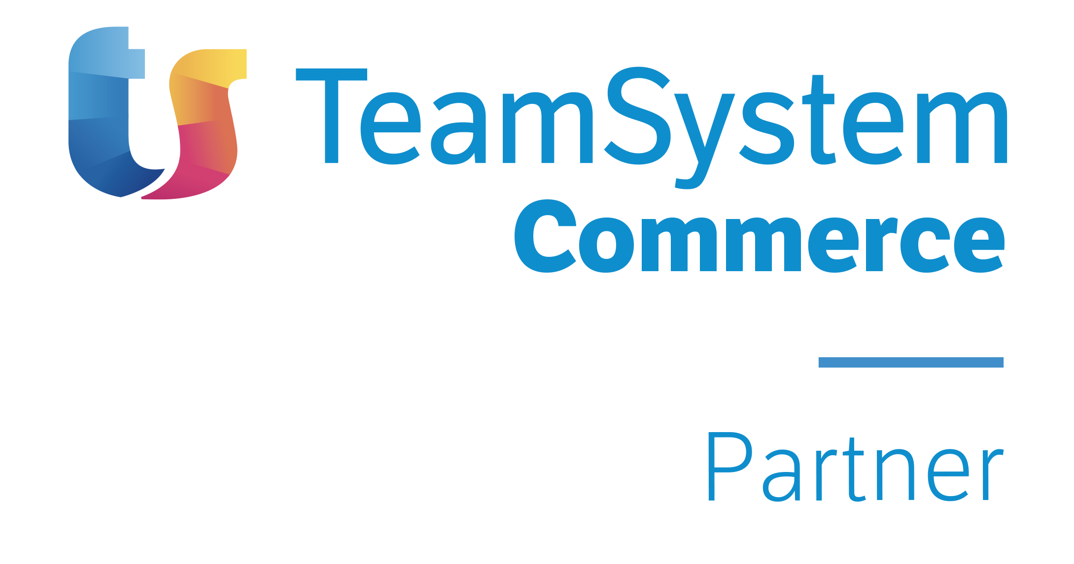 Team System Commerce Partner